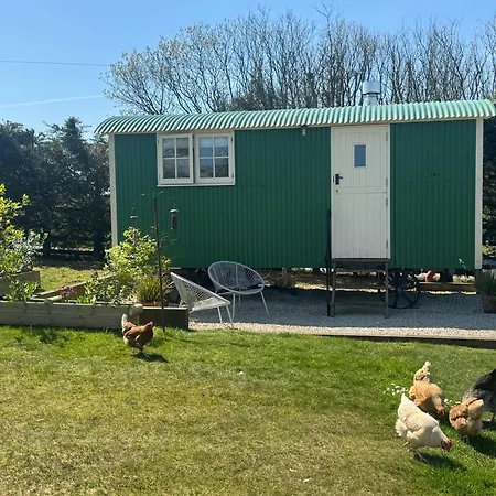 Toms Hut And Robins Rest Shepherd Huts Near Wadebridge Exterior photo